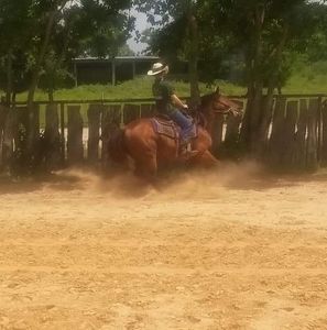 Meet your Posher, Benjamin